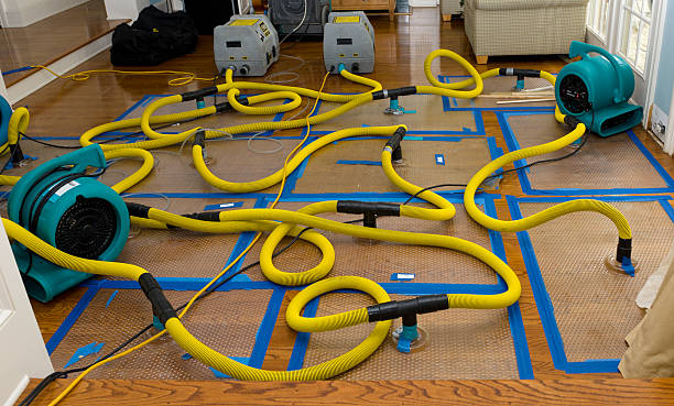 Professional Crawl Space Water Removal technician working in Mark Center, OH