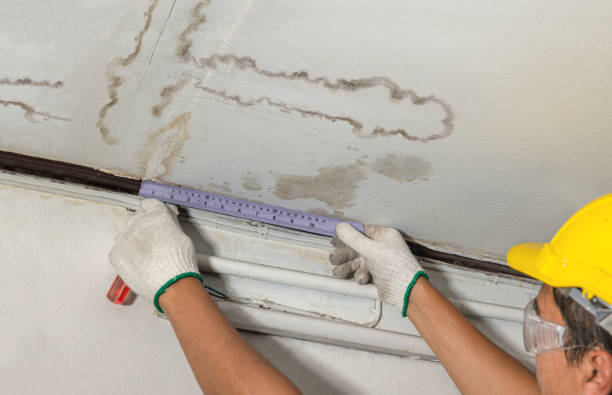 Affordable Water Damage Repair solutions in Mark Center, OH